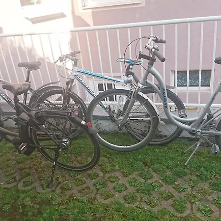 Ferienwohnung Lang Nittenau Zewnętrze zdjęcie